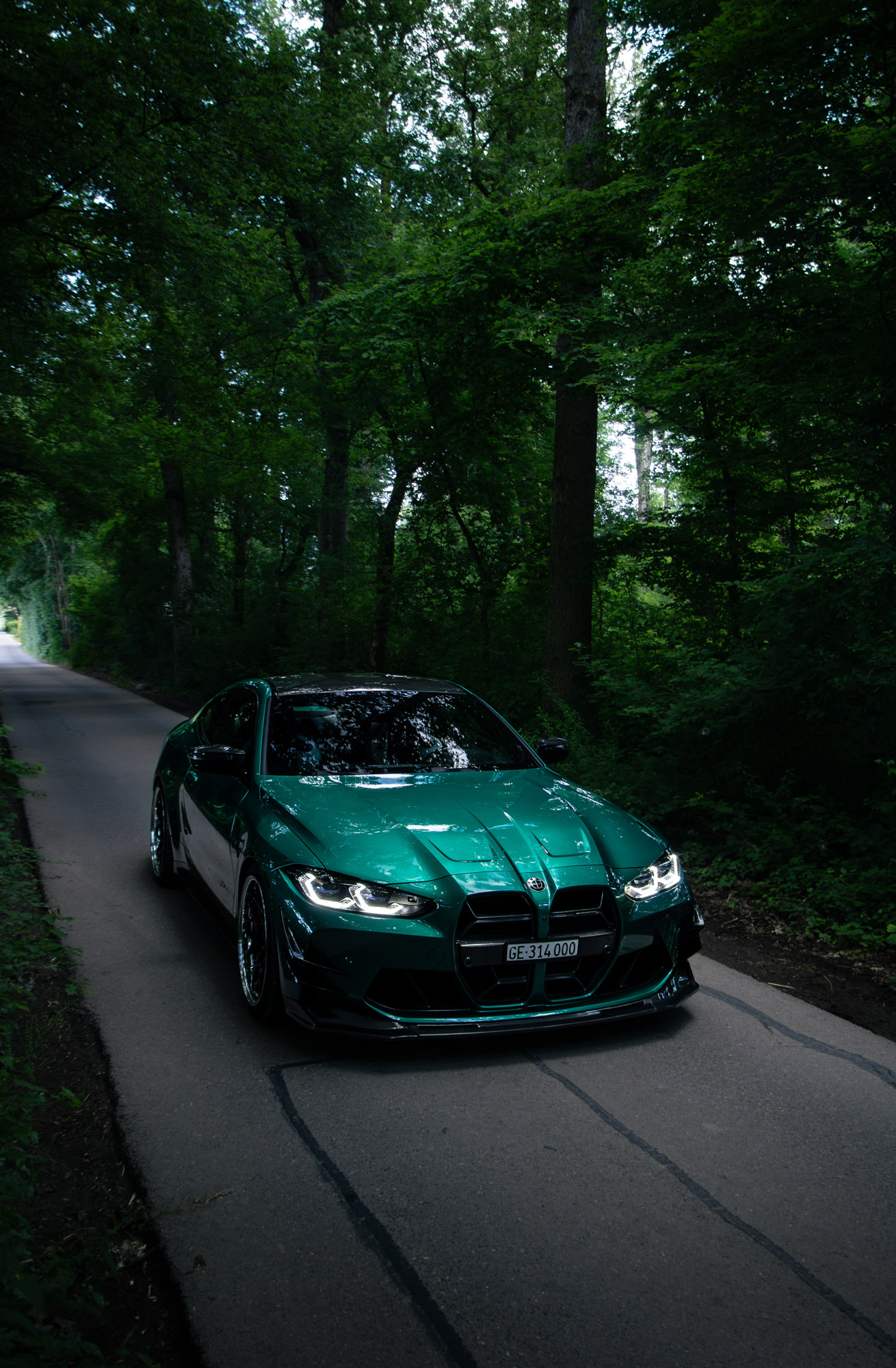 Photo M41