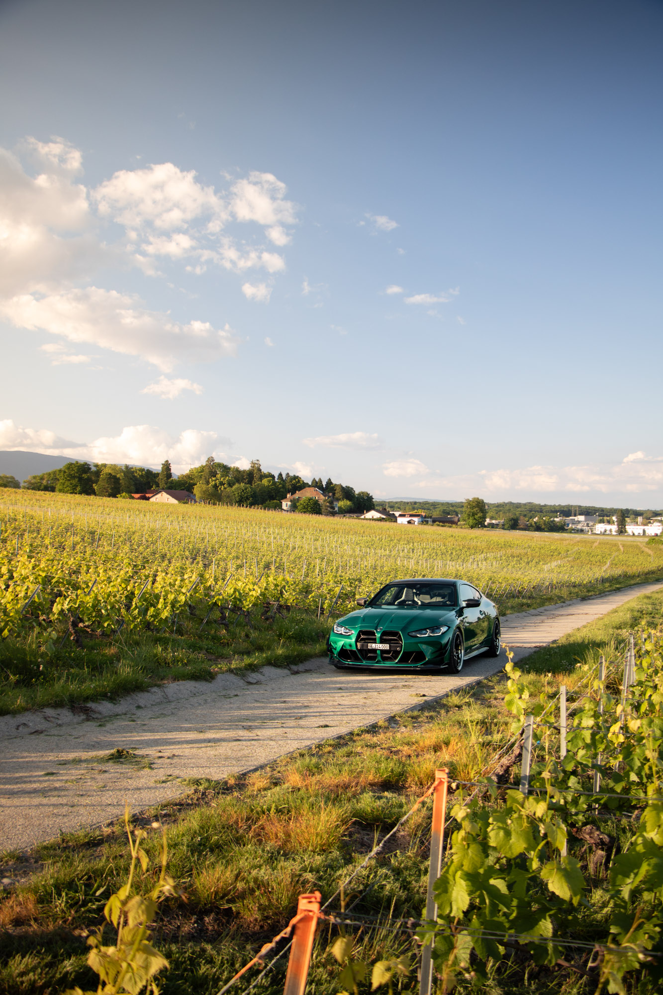 Photo M44