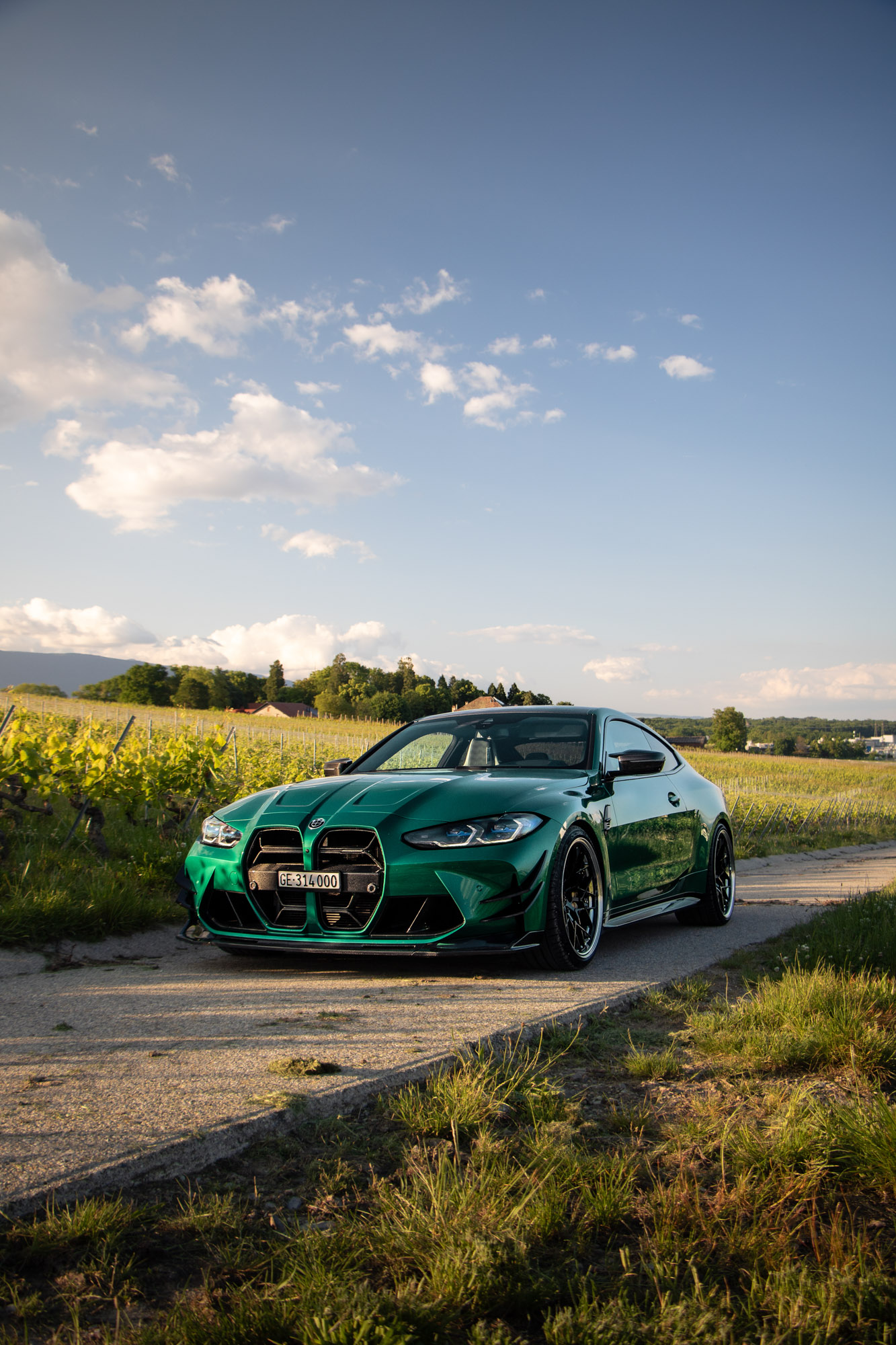 Photo M46