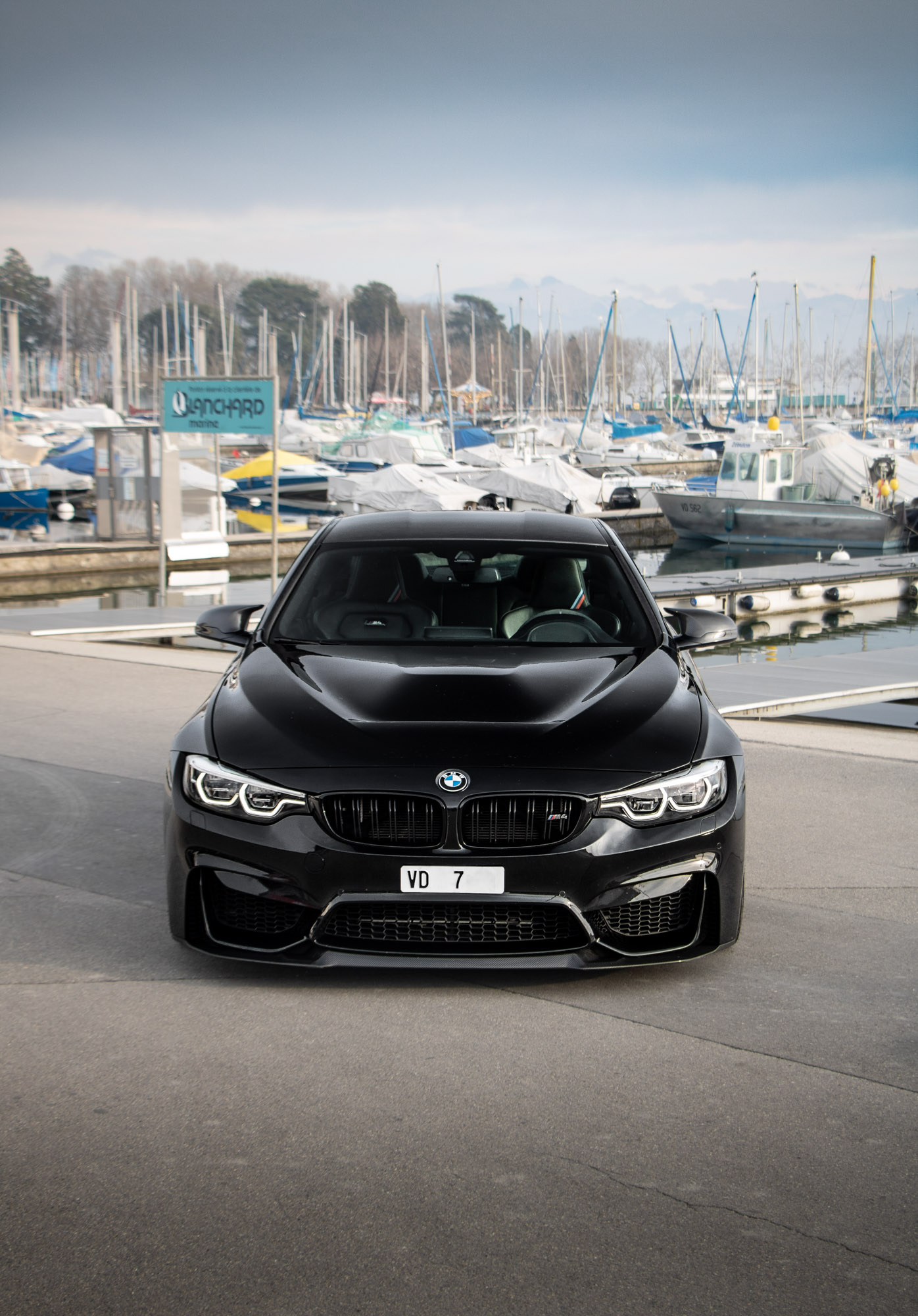 Photo M41