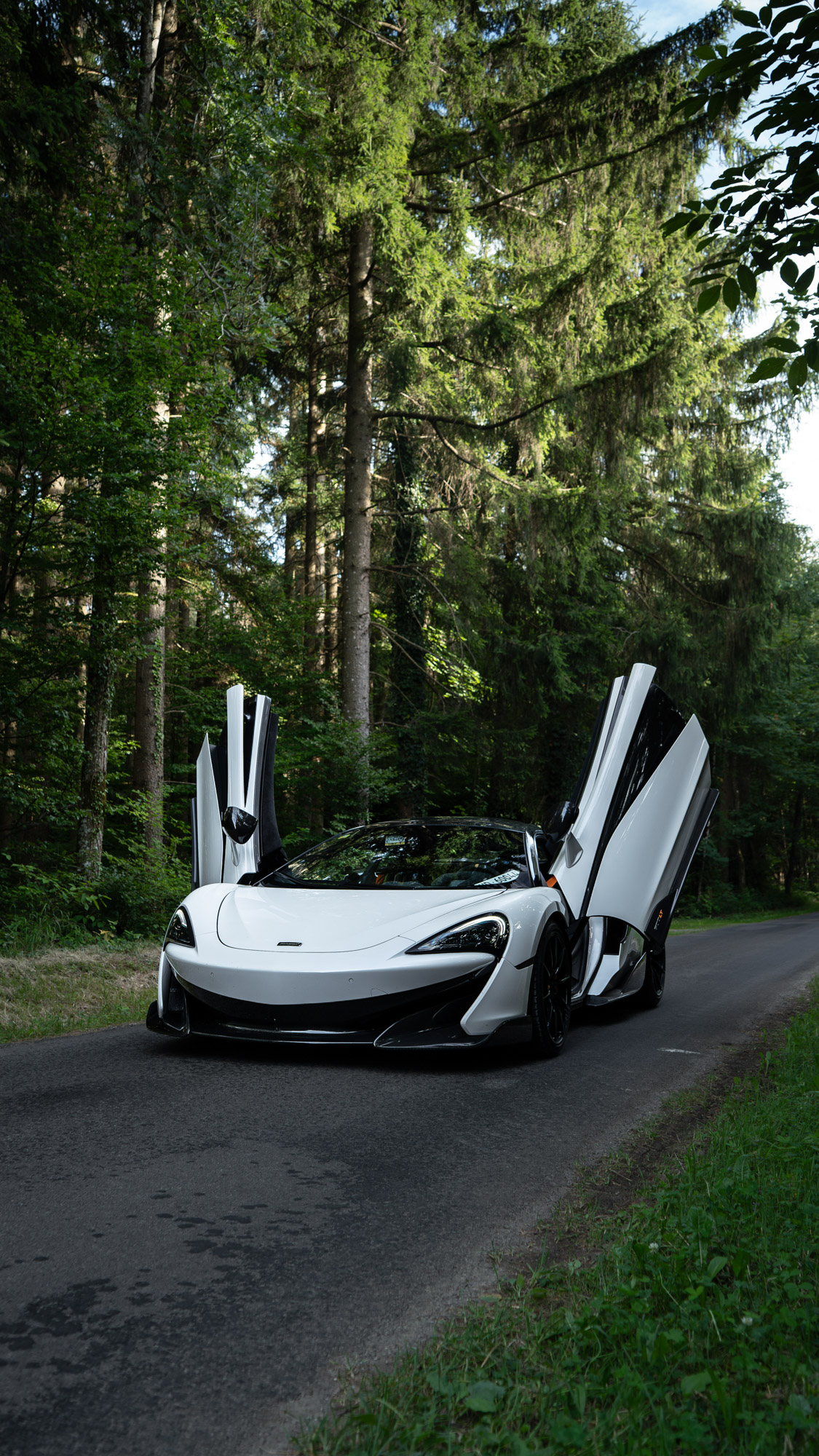 Photo M46