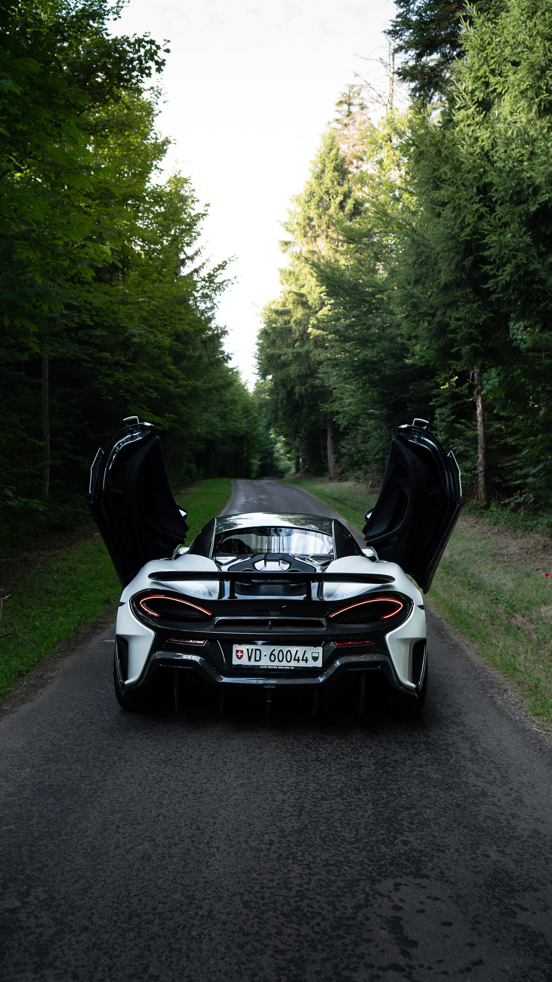 Photo M44